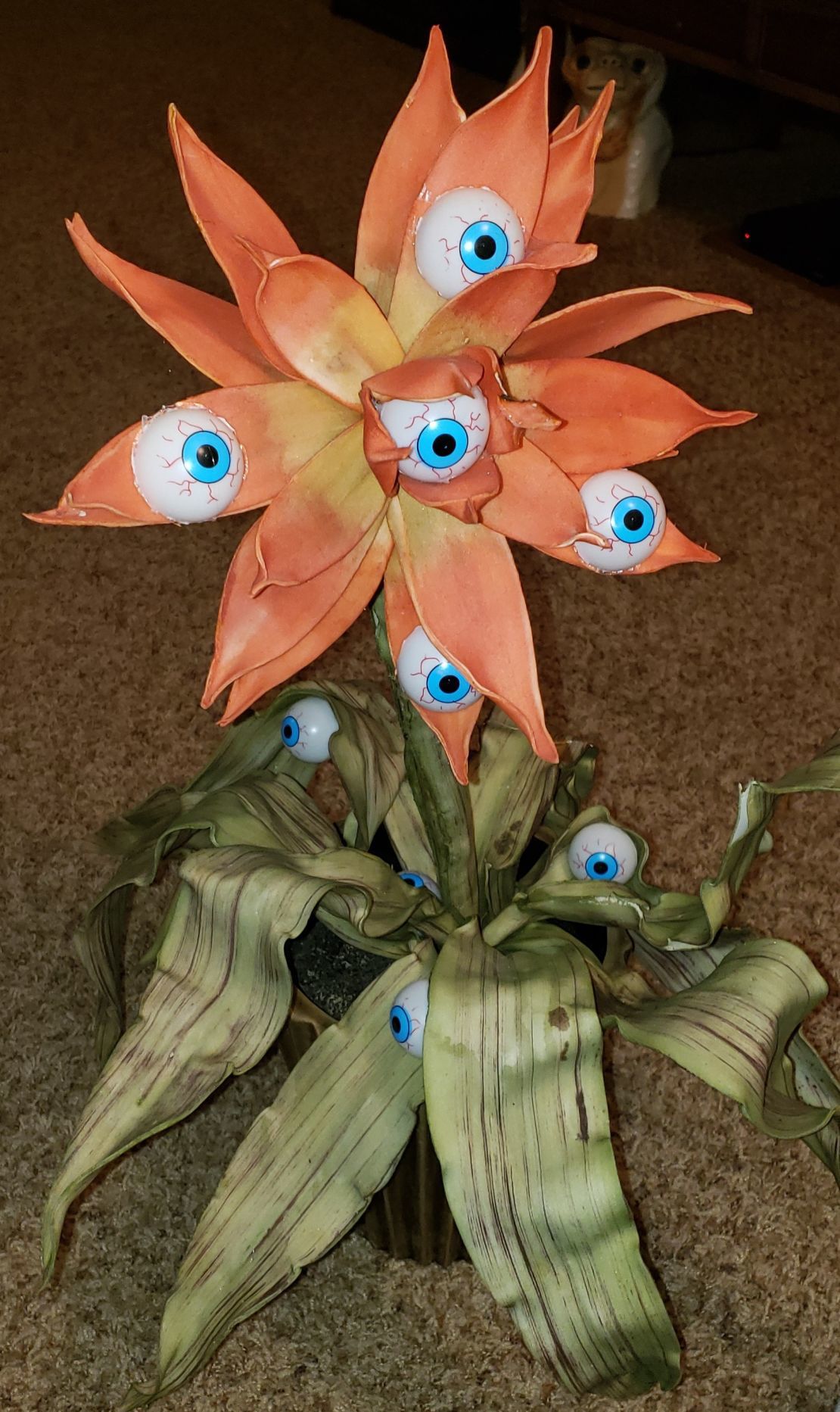 I've got my eye on you